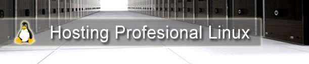 Hosting Profesional Linux